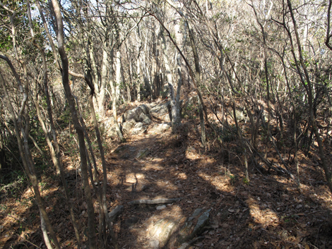 20140103hike (67)